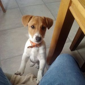 Meet your Posher, Ilene